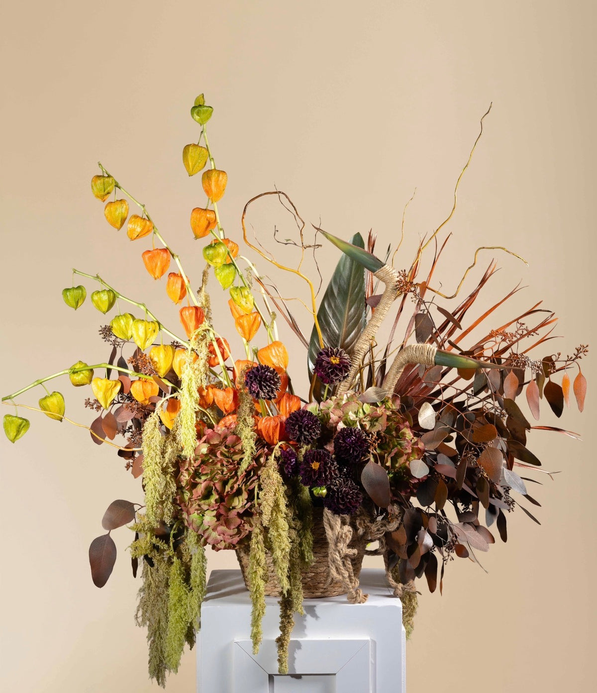 Autum Main image