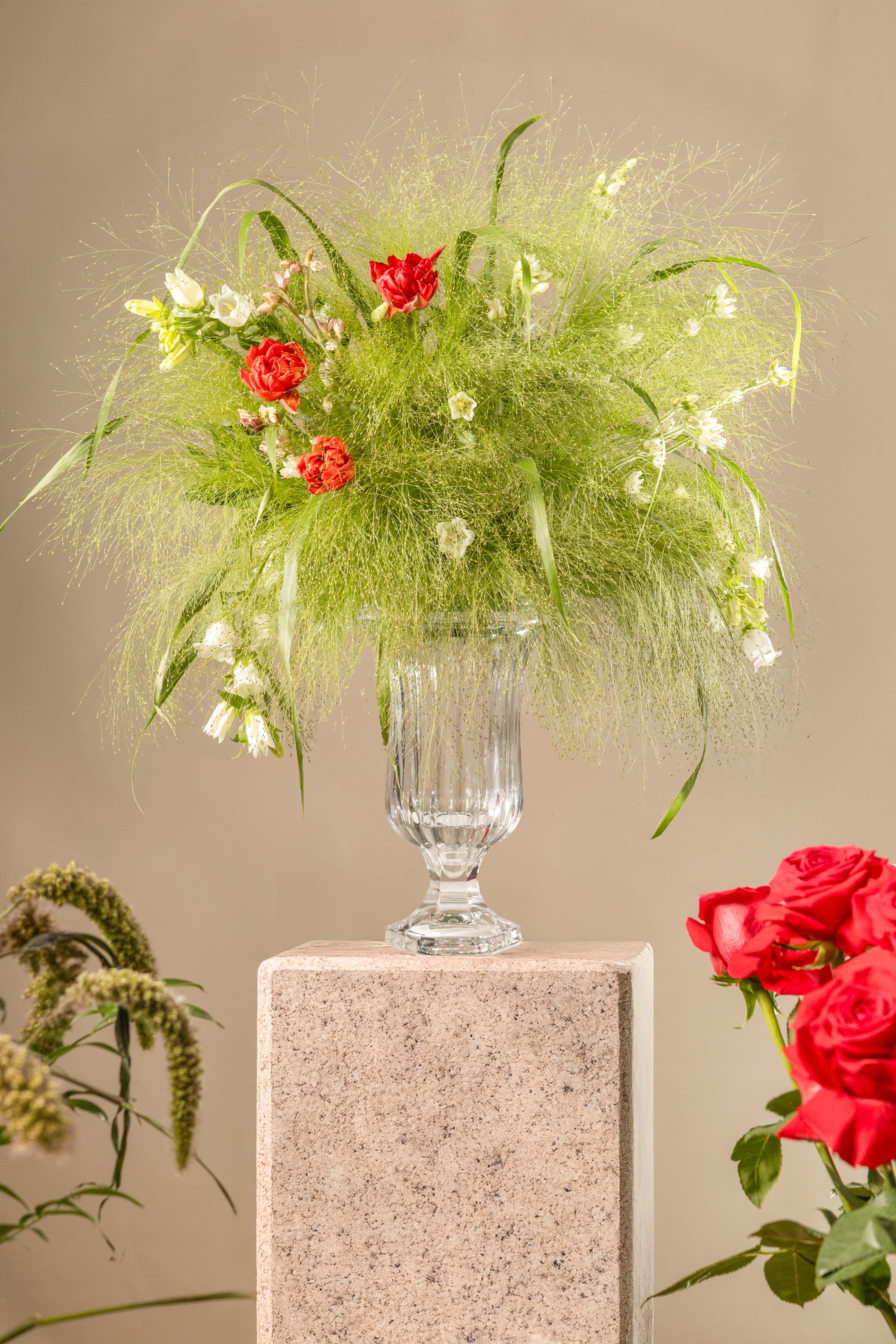 Wild green symphony Main image