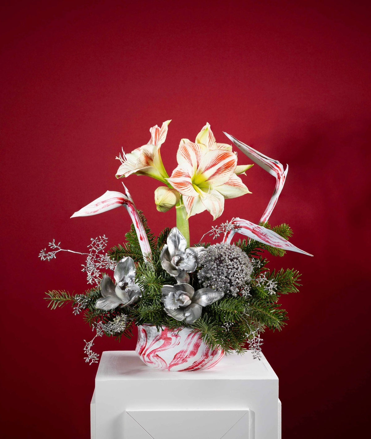 Christmas majesty Main image