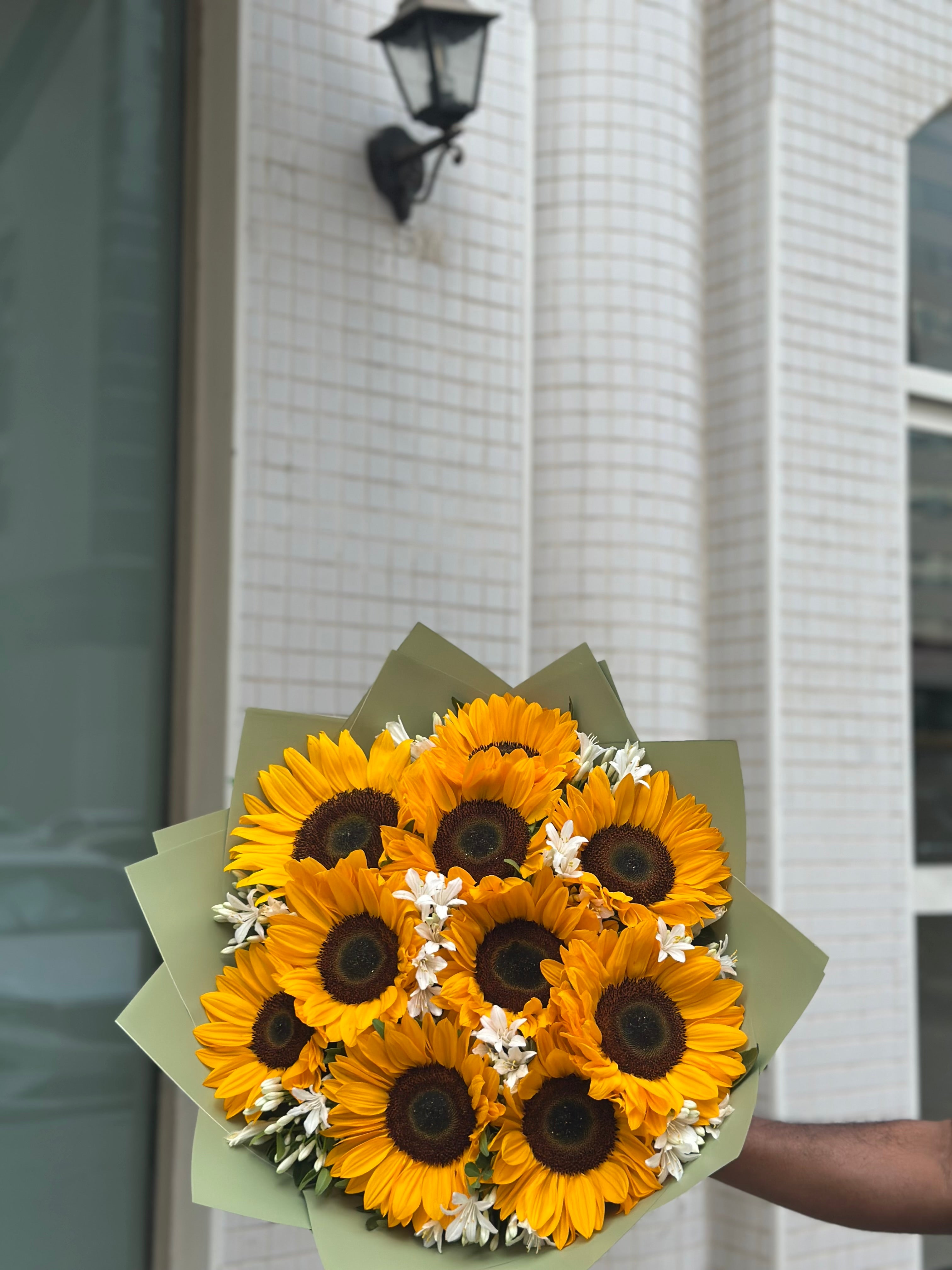 Sunflower Main image