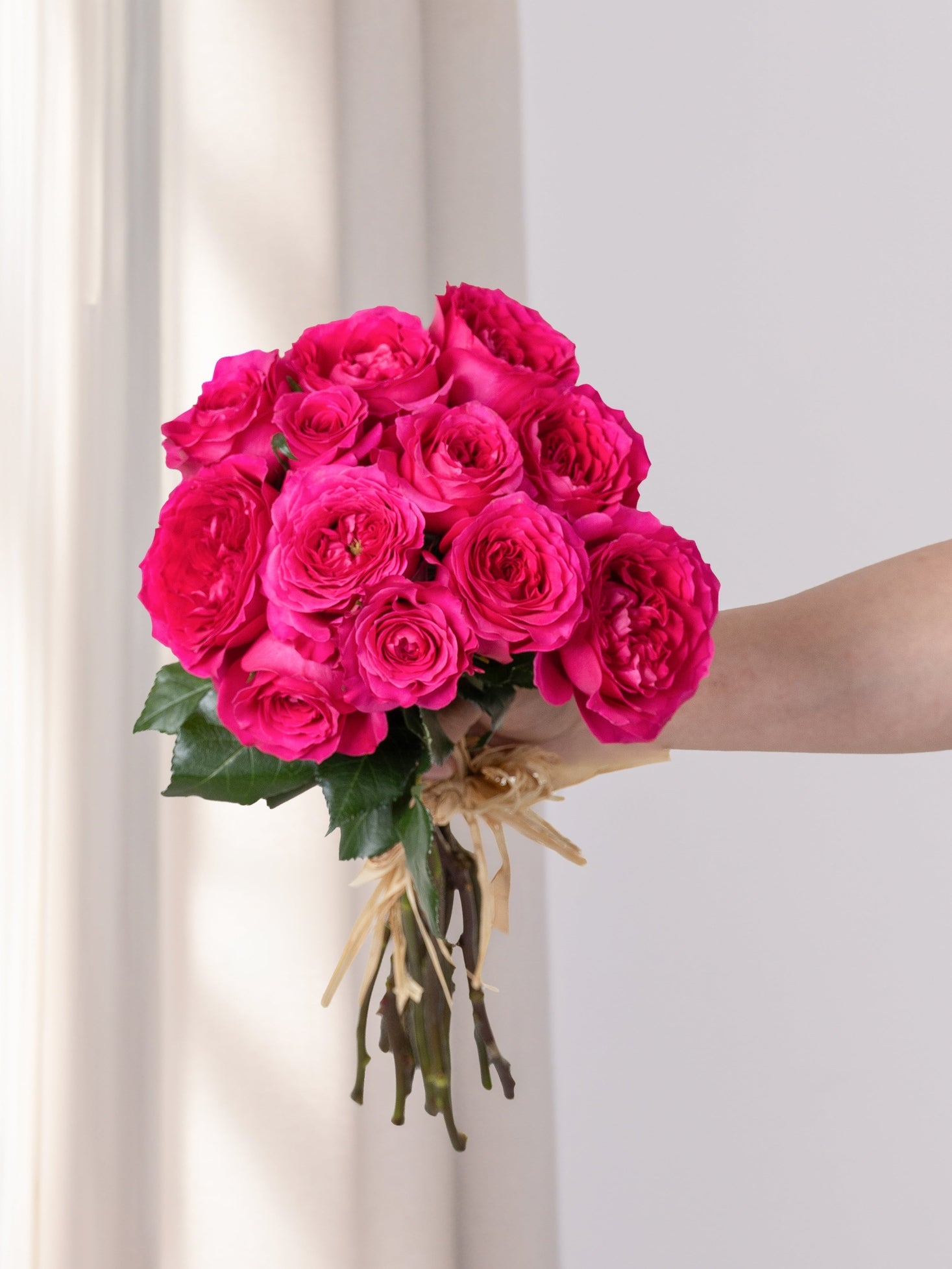 Thess Hot Pink Roses Main image