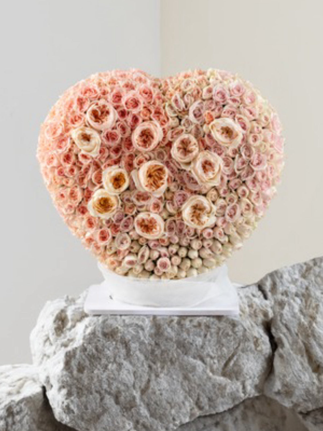 Peach perfection Main image