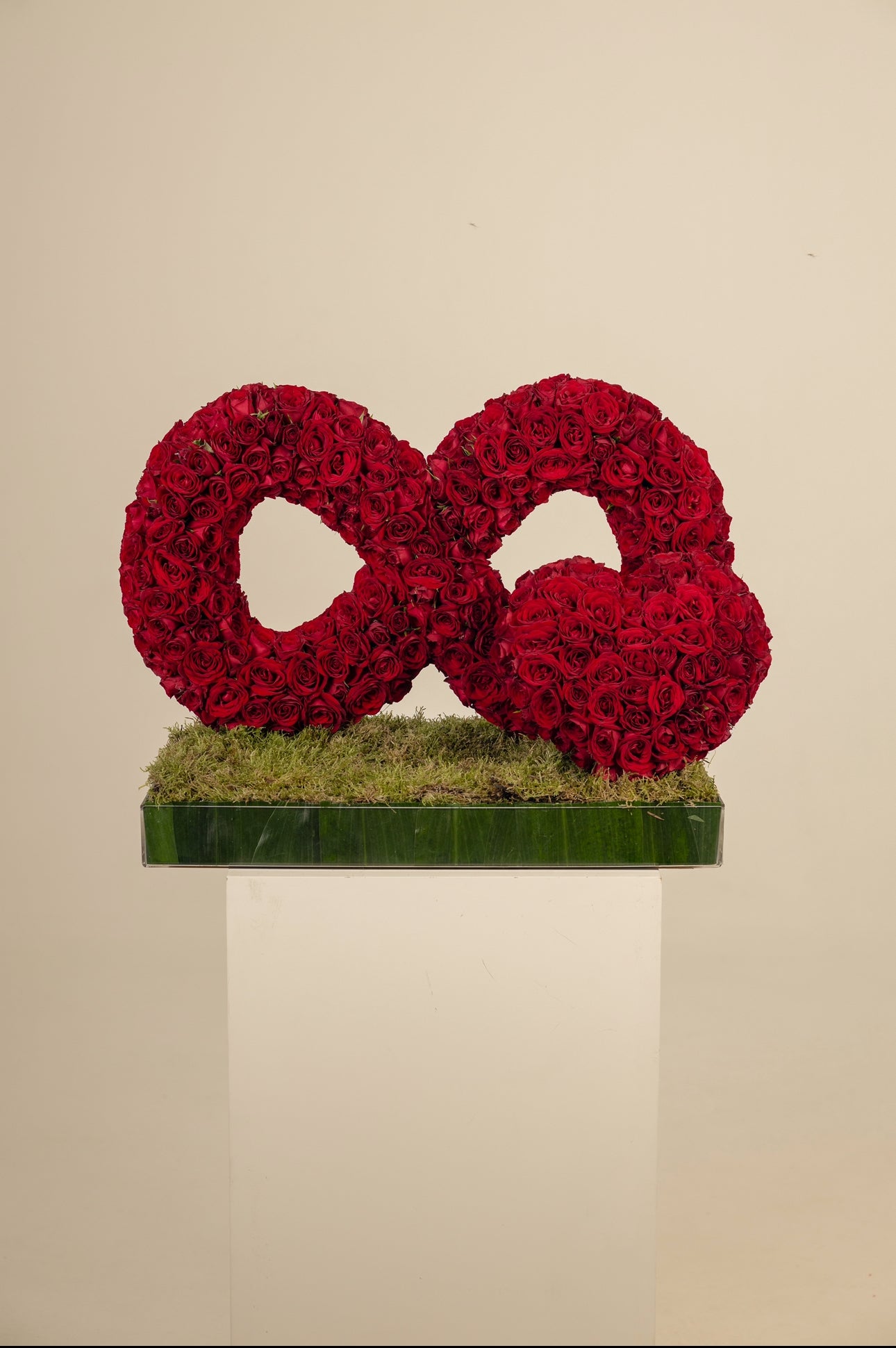 Forever Rose Main image