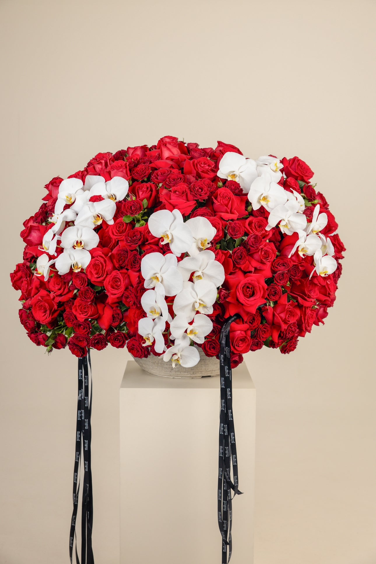 Elegant Red-100 Main image