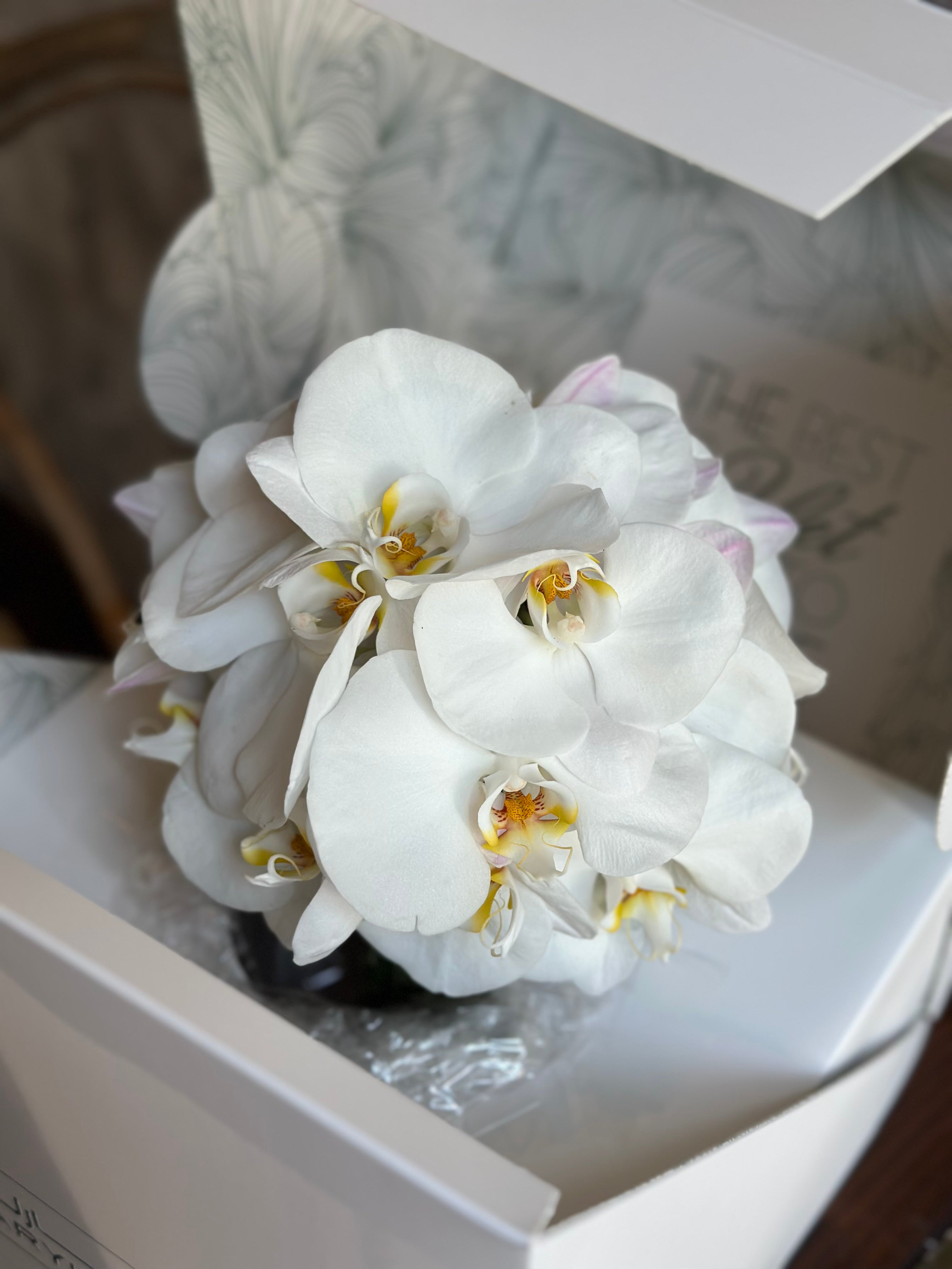 Orchids bridal Main image