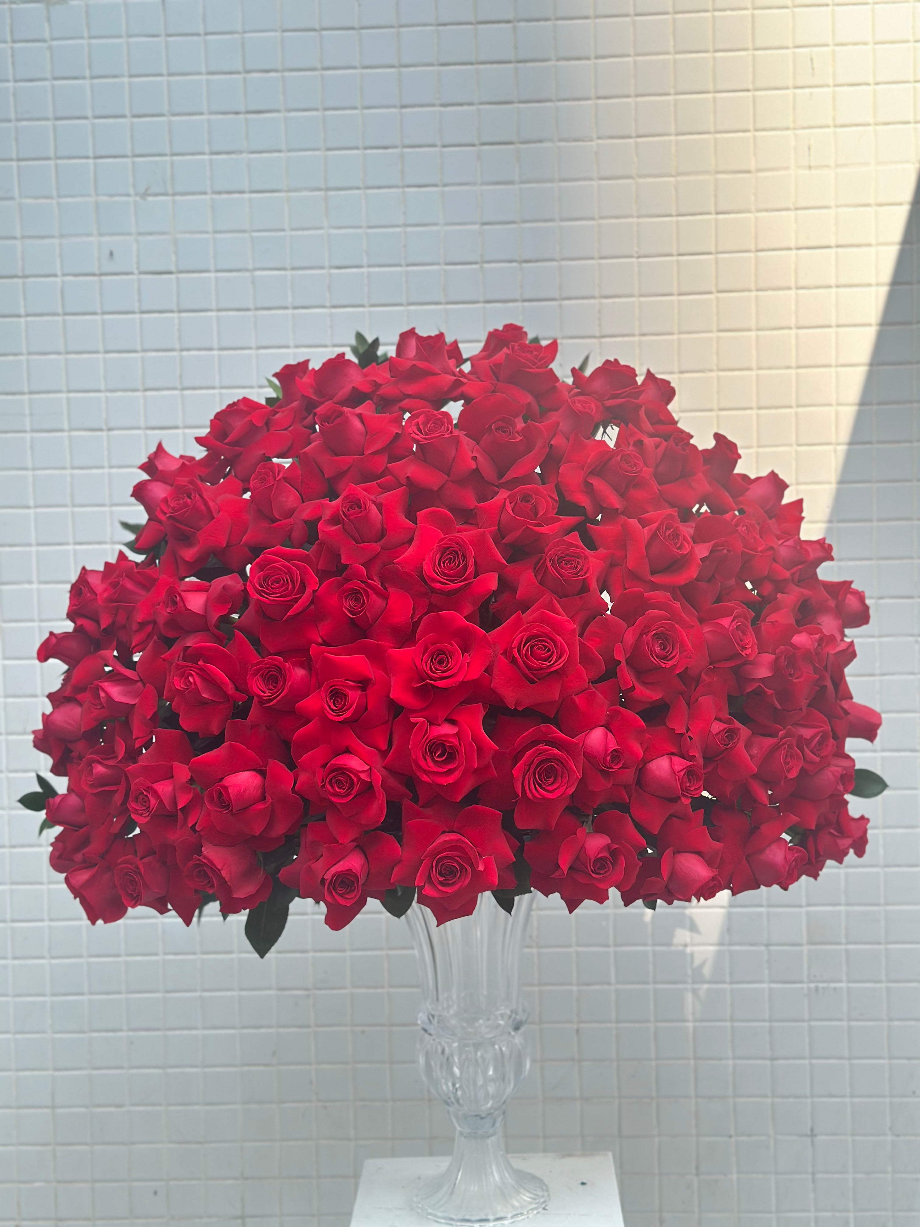 Red rose in a vase Main image