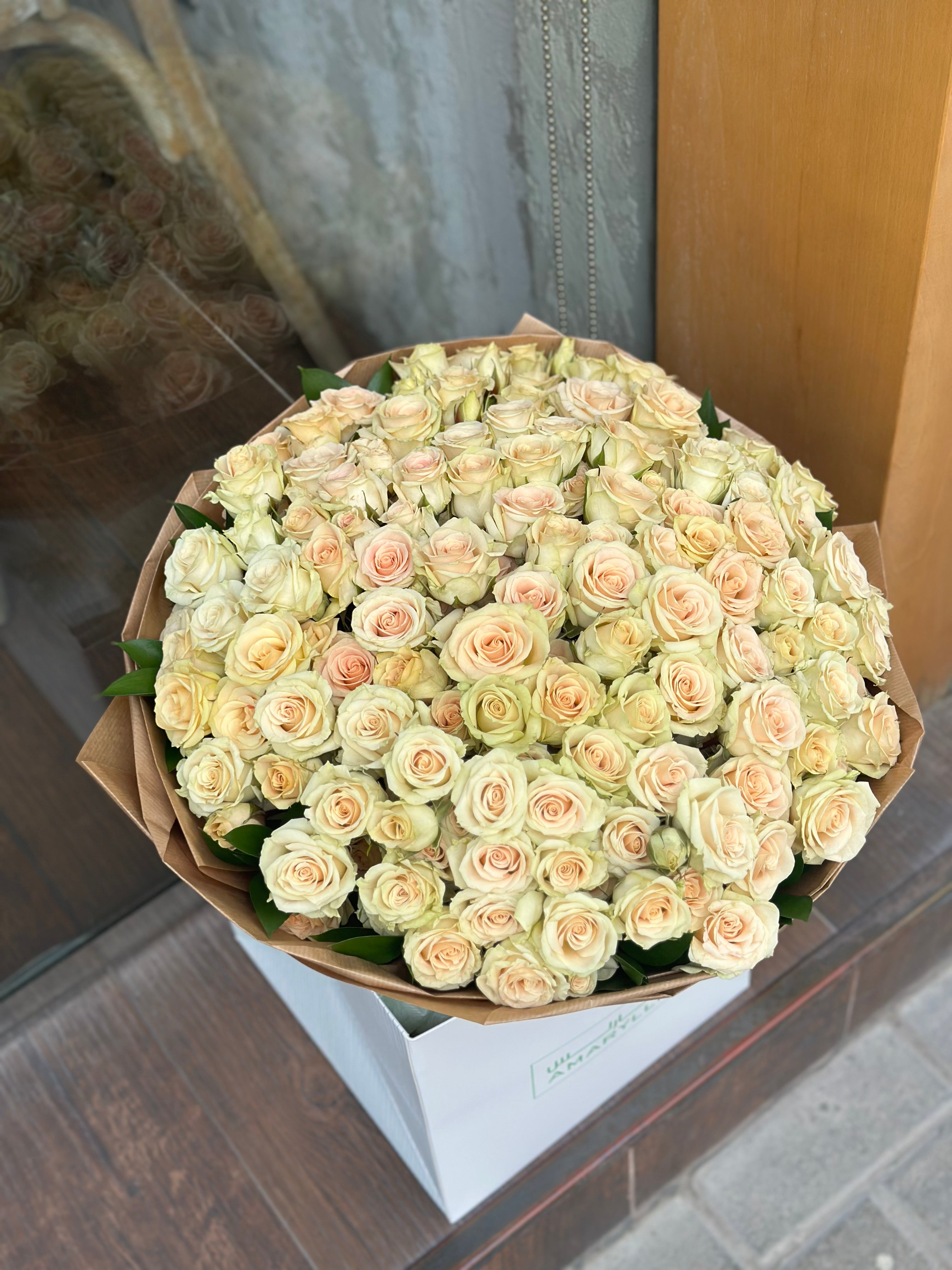 Baby roses Main image