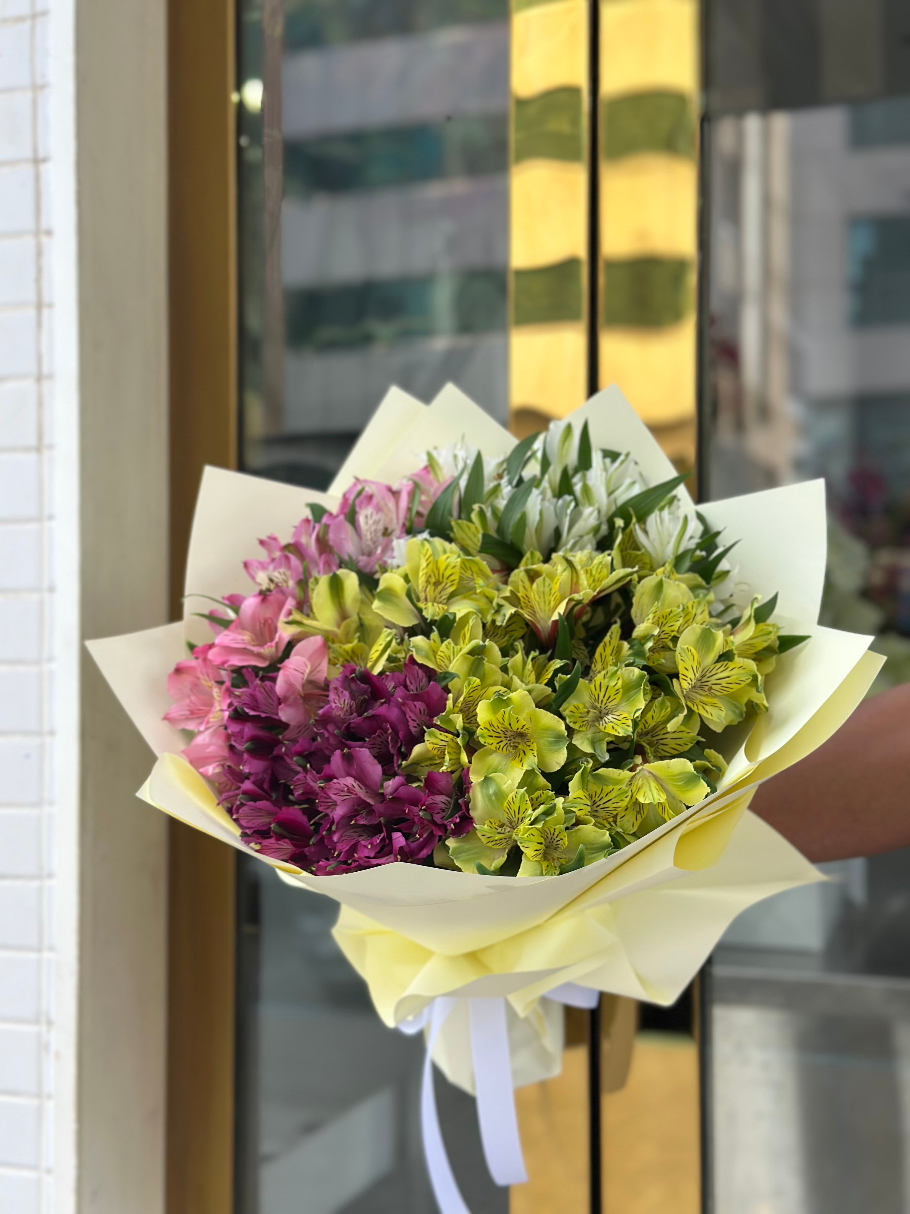 Alstromaria Main image