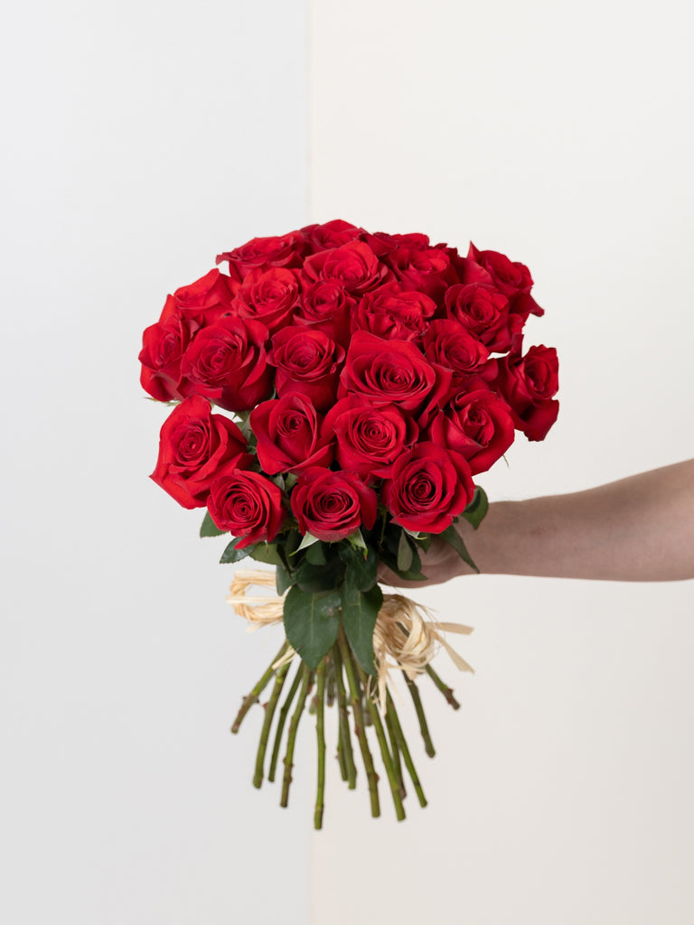 Classic Freedom Roses – Amaryllis Flowers