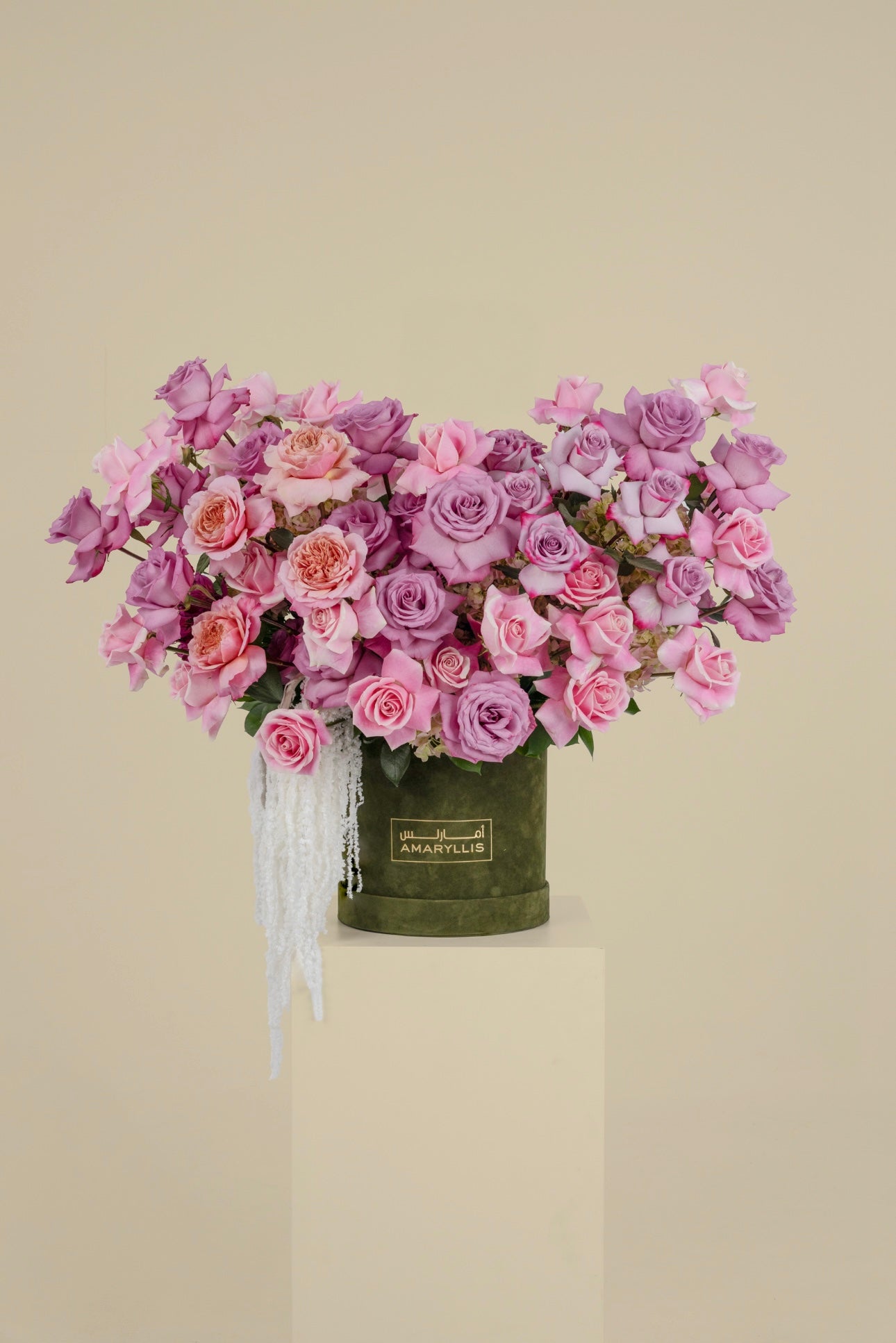 Purple Heart Main image