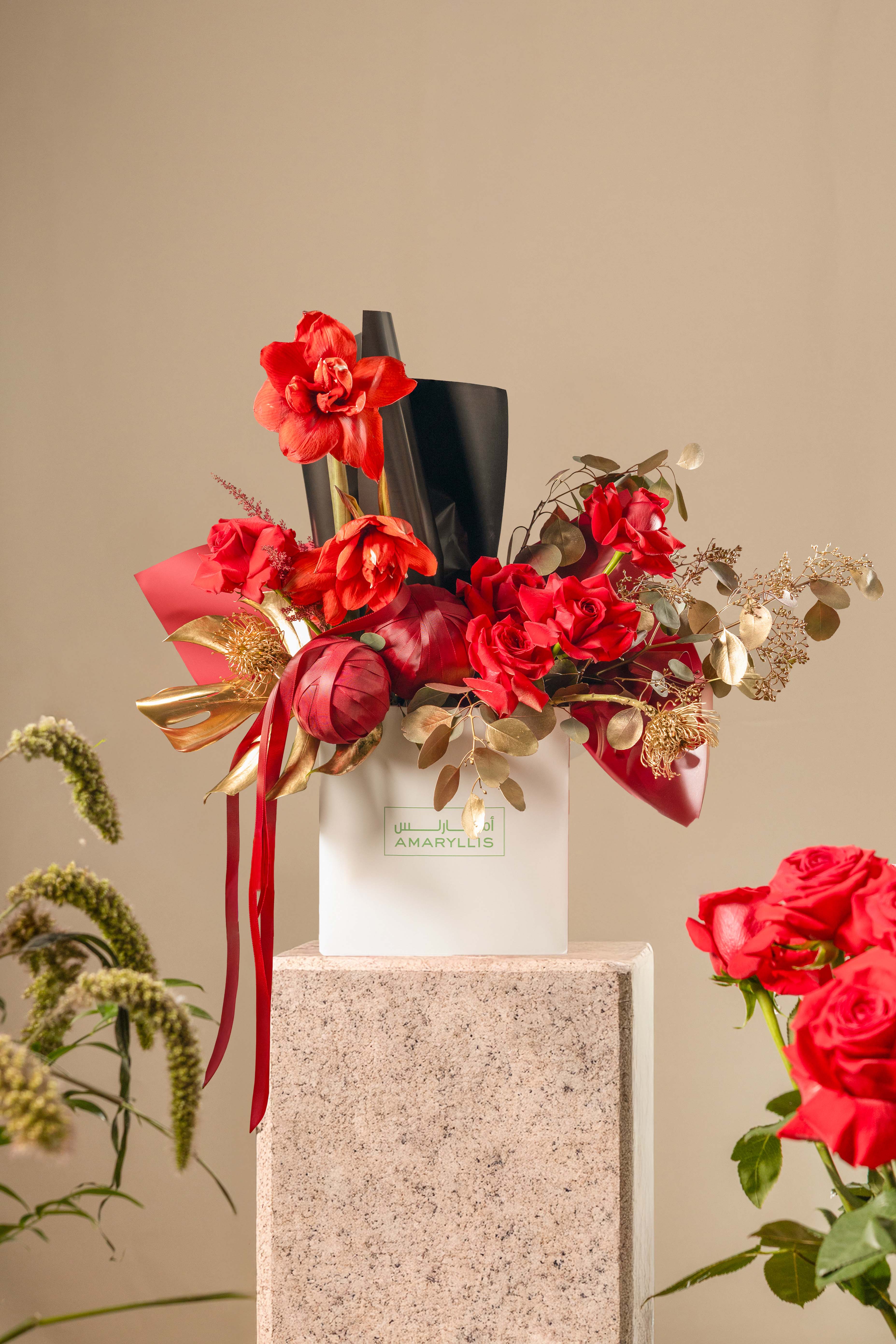 Garnet Grace Main image