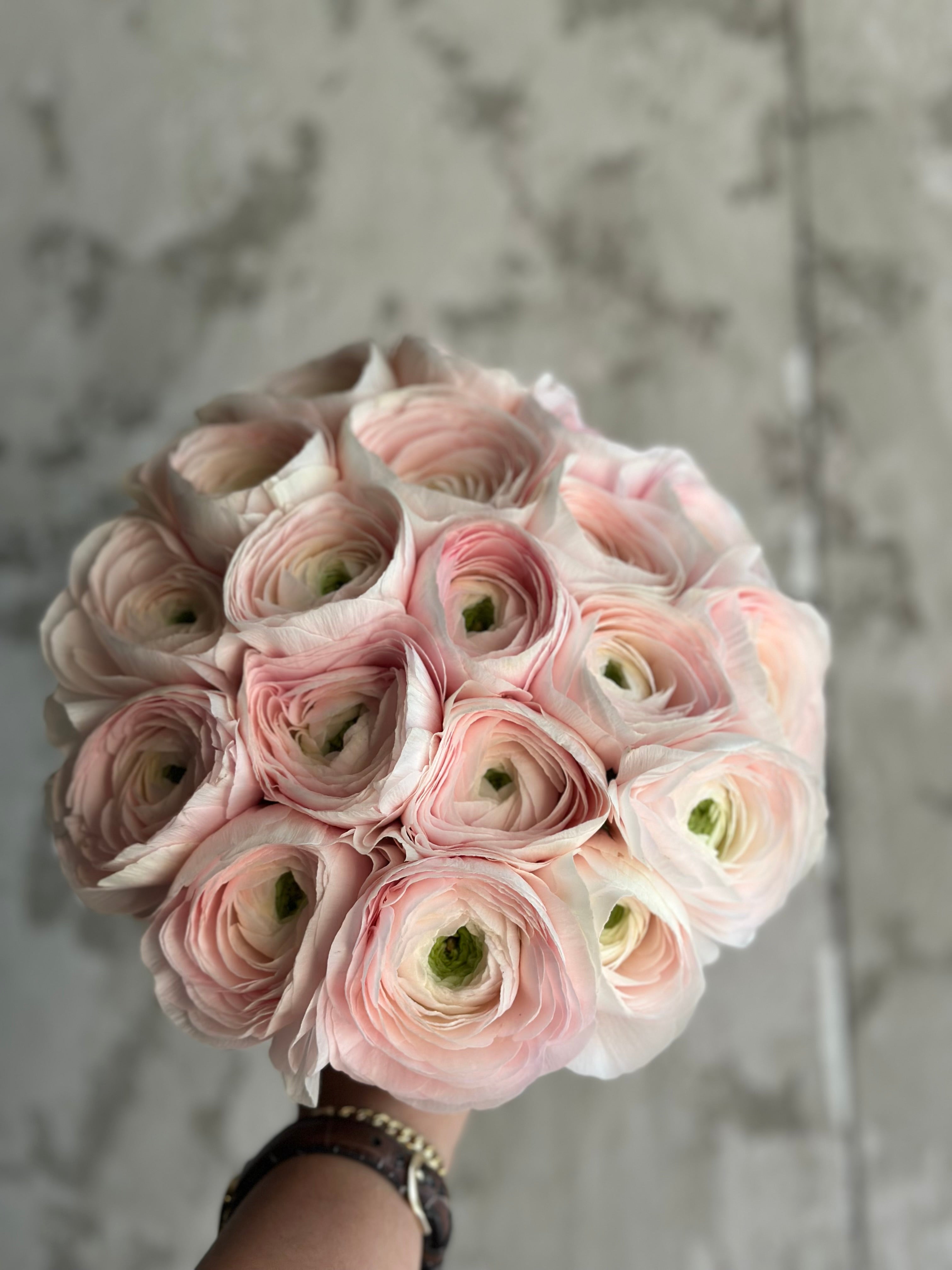 Renanculos clony bridal