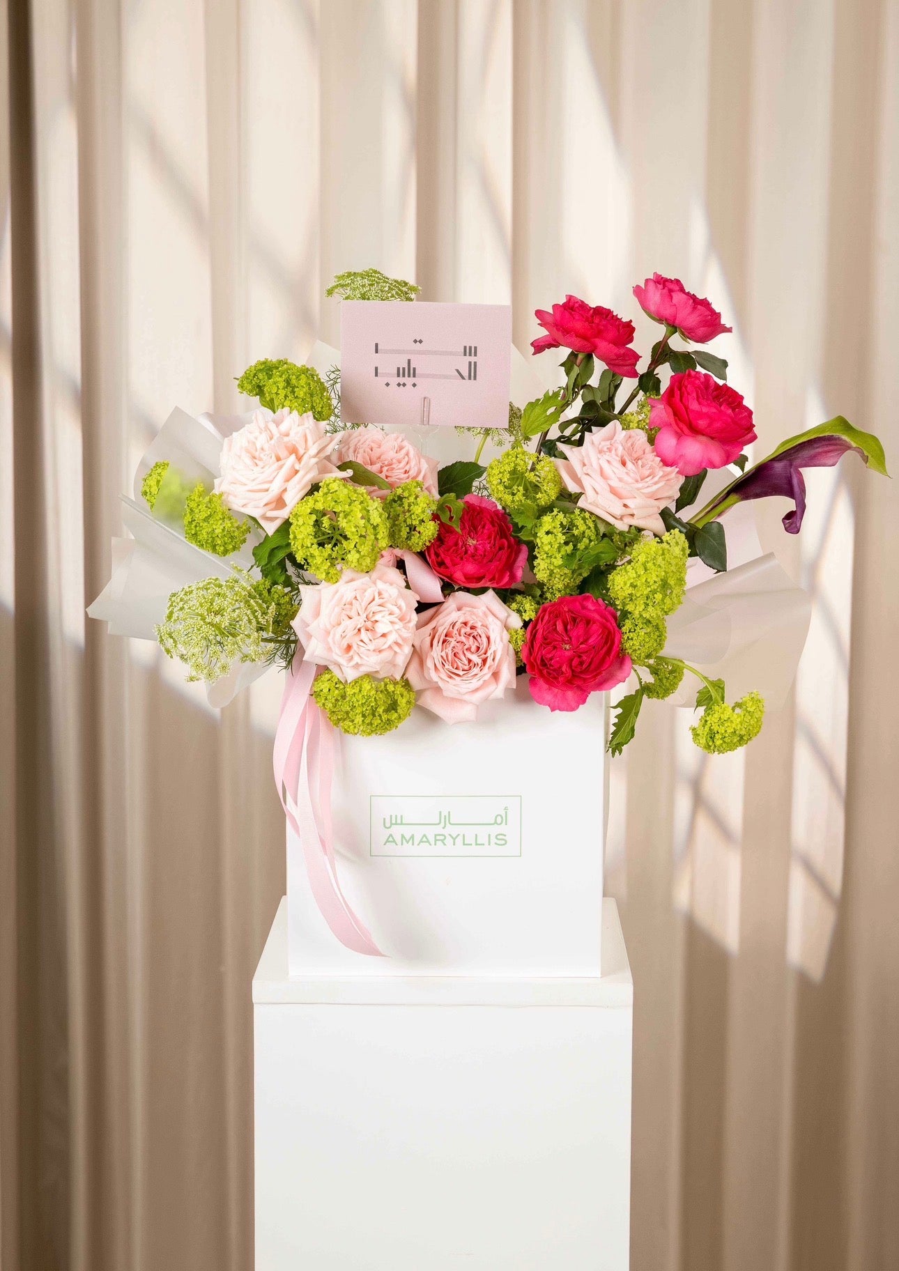 Bright pink promises Main image