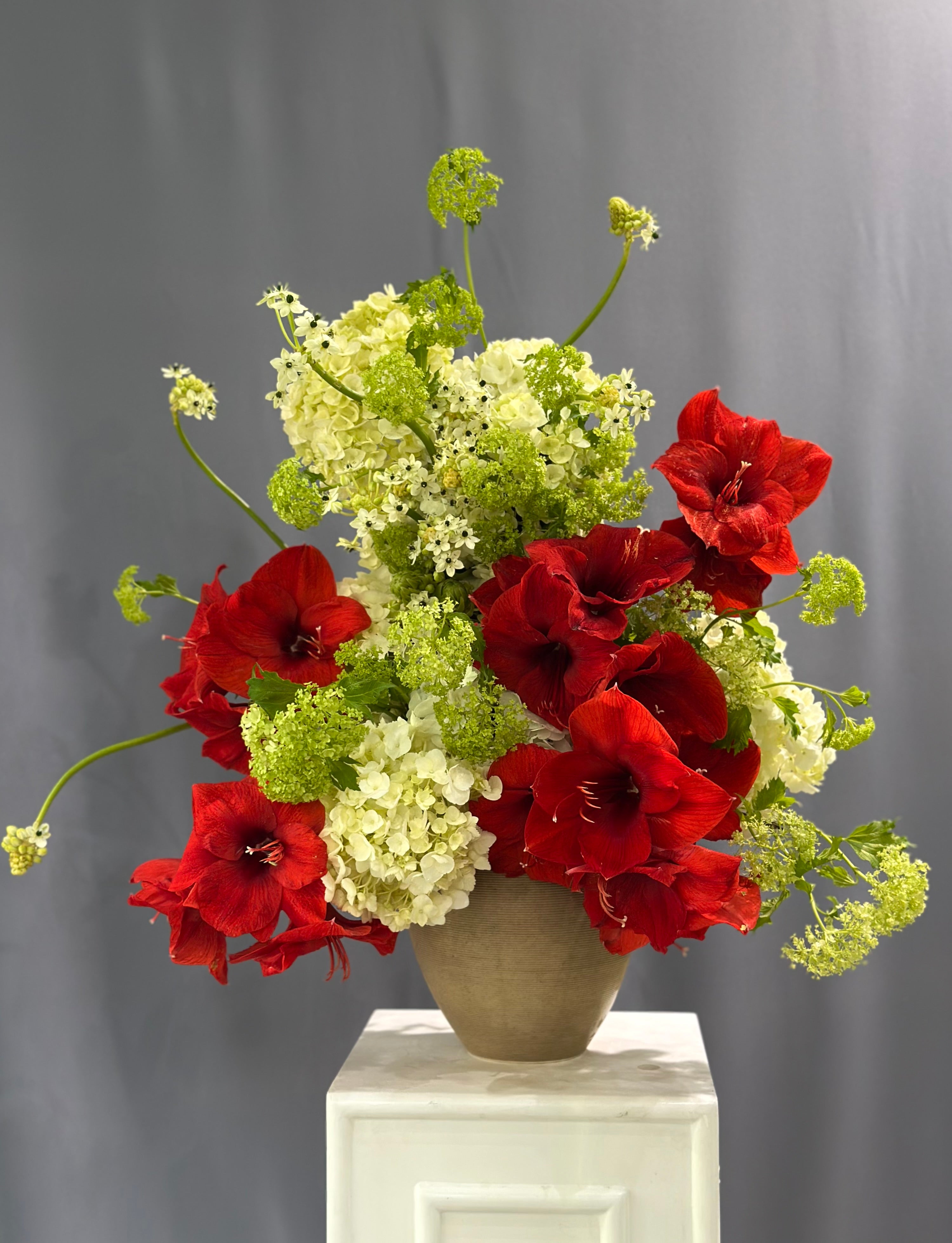 Amaryllis Main image