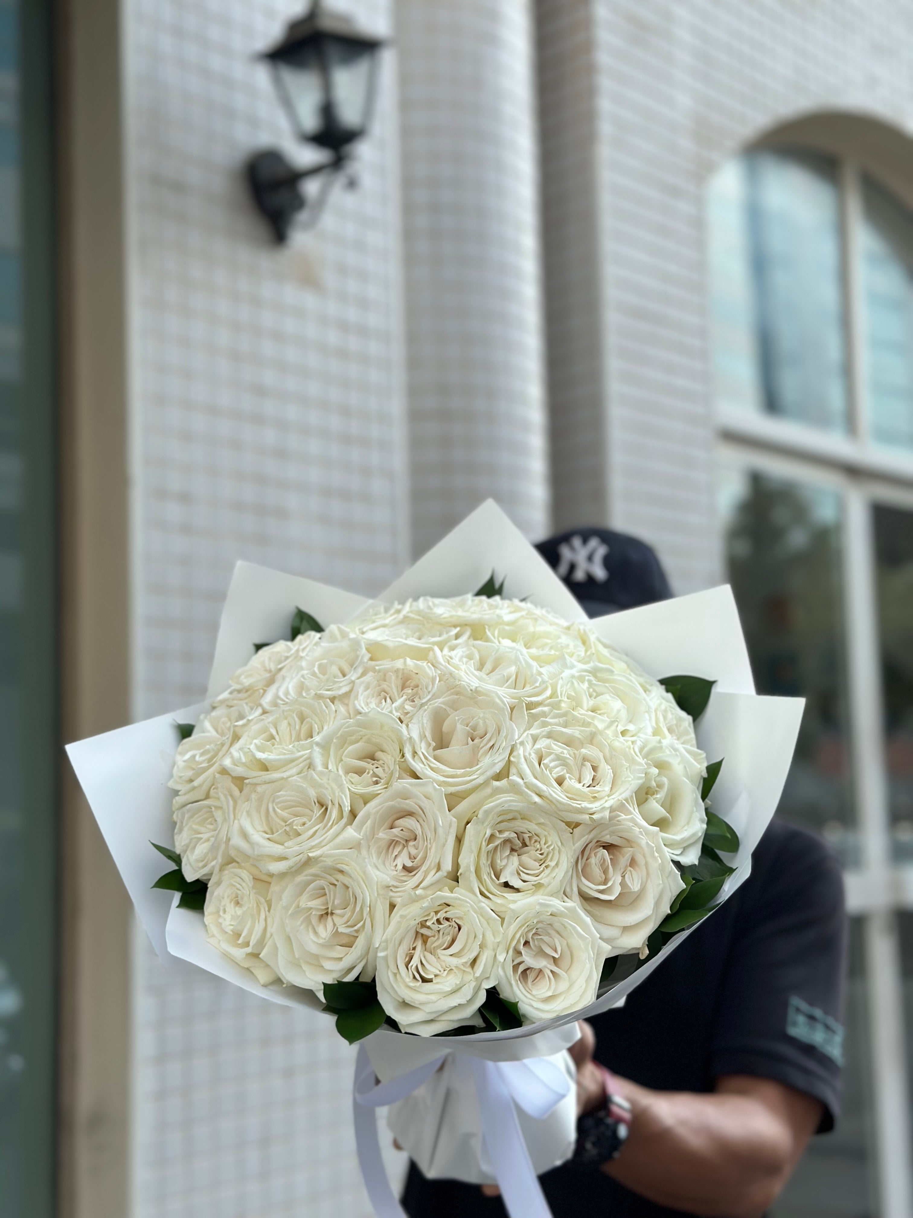 بلانكا Main image